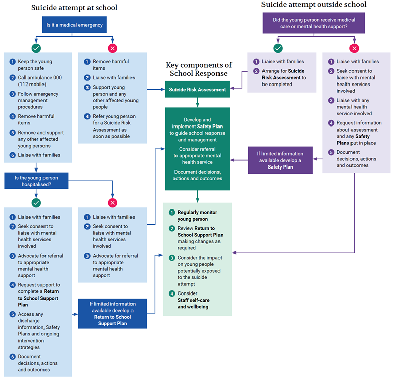 This flowchart details the school's response to suicide attempts by students, either at school or outside school. It begins by asking if the incident is a medical emergency. If yes, actions include keeping the student safe, calling emergency services, following emergency procedures, removing harmful items, supporting affected students, and liaising with families. It then asks if the student is hospitalized, leading to liaising with families, seeking consent to liaise with mental health services, advocating for referrals, and requesting support plans. If the incident is not an emergency, steps involve removing harmful items, supporting affected students, and referring the student for a Suicide Risk Assessment. The flowchart highlights key components of the school response: conducting a Suicide Risk Assessment, developing and implementing a Safety Plan, considering referrals, documenting actions, regularly monitoring the student, reviewing the support plan, considering the impact on others, and ensuring staff well-being. For suicide attempts outside school, the chart checks if the student received medical or mental health support. If yes, actions include liaising with families and arranging for a risk assessment. If no, it involves liaising with families, seeking consent to communicate with mental health services, and developing a safety plan if information is limited. Throughout, the chart emphasizes the importance of documenting decisions and outcomes.